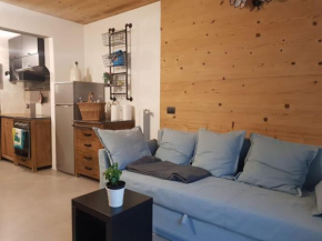 Milla Appartamento 4-6 letti - Pontagna -1km Ponte di Legno T04416 Villa Dalegno